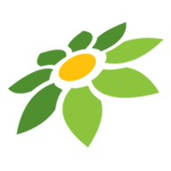 CARA AFFILIATE TOKOPEDIA